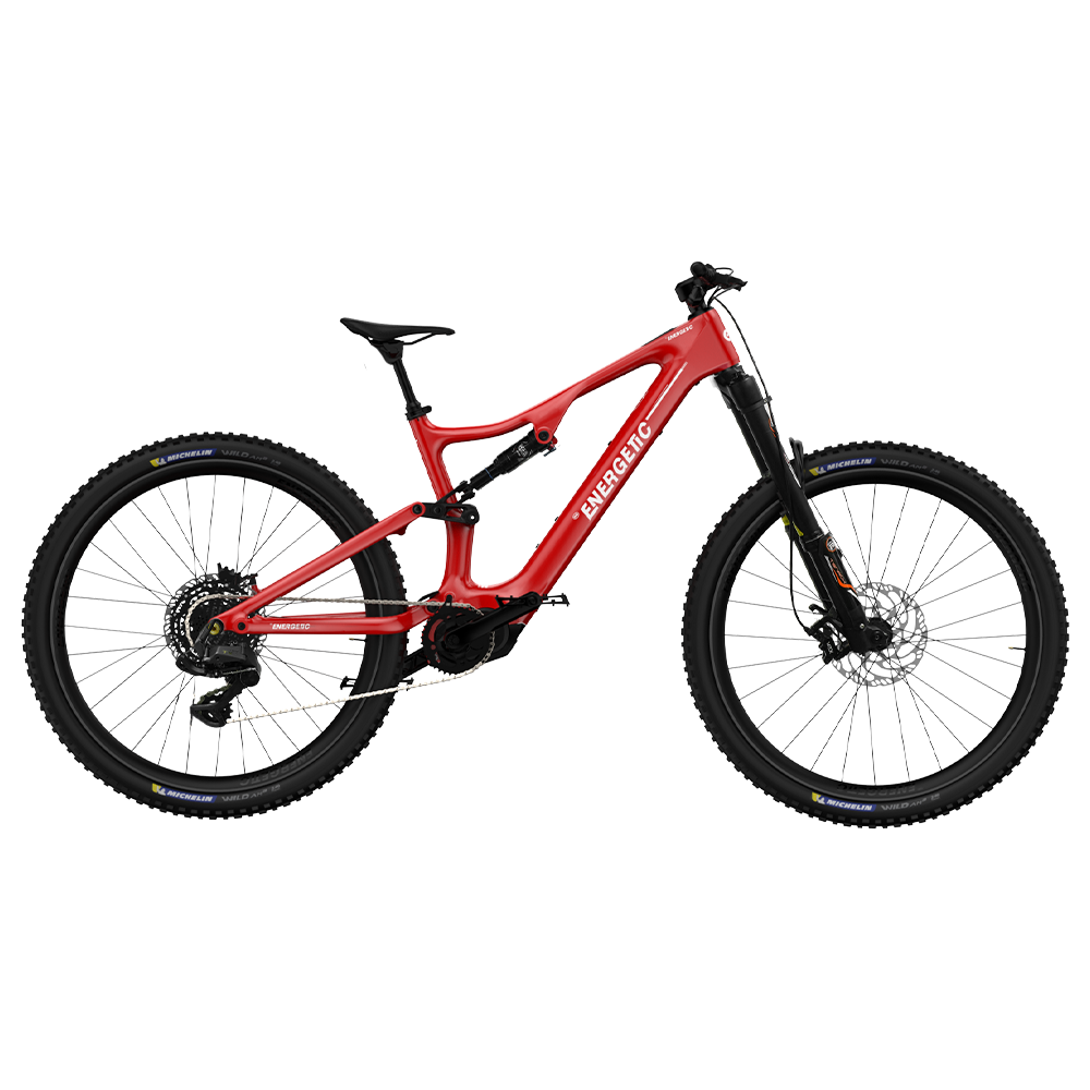 Electric Mountain Bike- ENERGY G1 ECO